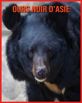 Ours Noir d'Asie: Images Incroyables et Informations Amusantes concernant les Ours Noir d'Asie