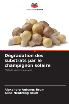 Dégradation des substrats par le champignon solaire (French Edition)
