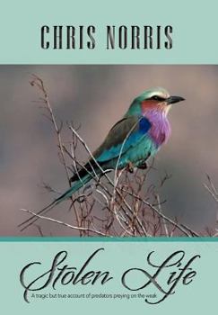 Hardcover Stolen Life Book