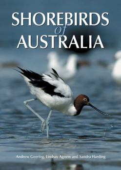 Paperback Shorebirds of Australia [op] Book