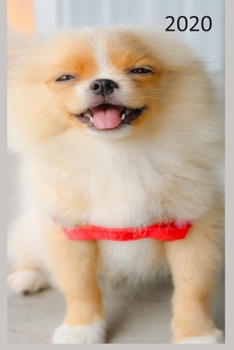 2020: Dog  Diary, Planner, Agenda  - Week Per View - Gift for Dog Lover - POMERANIAN, POM