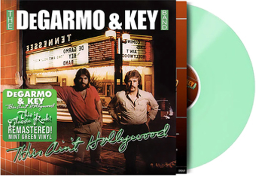 Vinyl This Ain't Hollywood Book