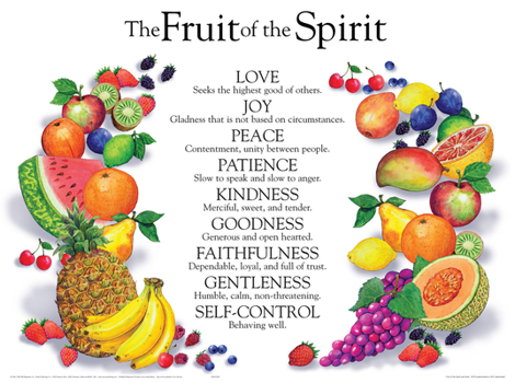 Paperback The Fruit of the Spirit Wall Chart Book