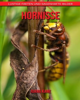 Paperback Hornisse: Lustige Fakten und sagenhafte Bilder [German] Book