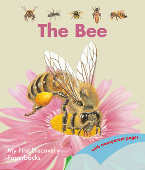 Paperback The Bee Book