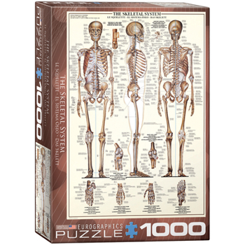 Toy EuroGraphics Skeletal System (Chart) Puzzle (1000-Piece) (6000-3970) , Brown Book