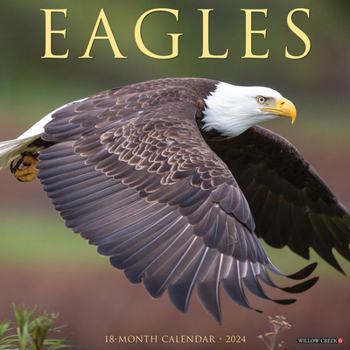 Calendar Eagles 2024 12 X 12 Wall Calendar Book