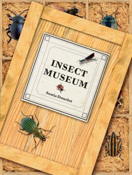 Hardcover Insect Museum: Describing 114 Species of Insects and Other Arthropods, Including Their Natural History and Environment Book