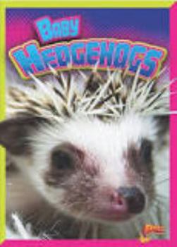 Library Binding Baby Hedgehogs Book
