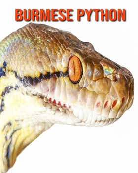 Paperback Burmese Python: Amazing Photos & Fun Facts Book About Burmese Python For Kids Book