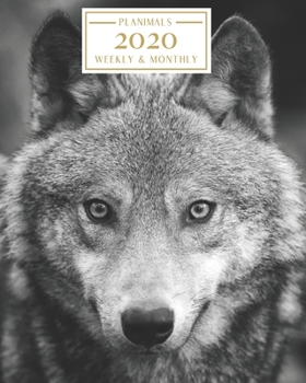 2020: Weekly and Monthly Planner/Calendar Jan 2020 – Dec 2020 Black and White Serene Wolf