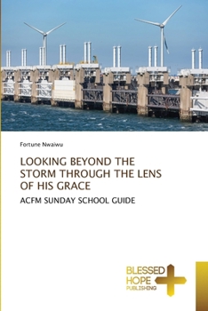 Paperback Looking Beyond the Storm Through the Lens of His Grace Book