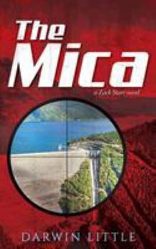Paperback The Mica Book