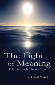 Paperback The Light of Meaning Book