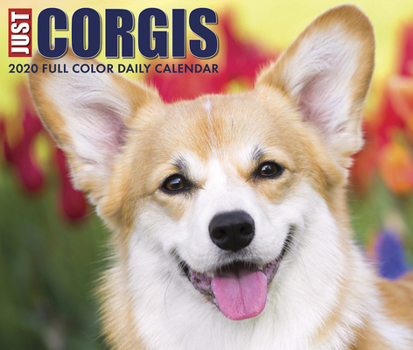 Calendar Just Corgis 2020 Box Calendar (Dog Breed Calendar) Book