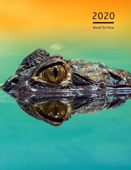 Paperback 2020 A5 Diary Week To View Planner For All Occasions: - Year Planner For Business, Office, Home, University, College, School, Appointments, Organizer. Book