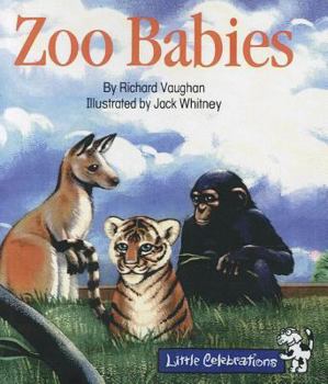 Paperback Zoo Babies Book