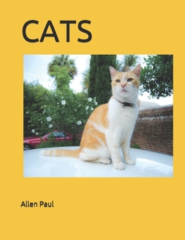 Paperback Cats Book