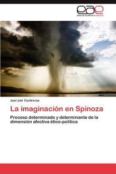 Paperback La Imaginacion En Spinoza [Spanish] Book