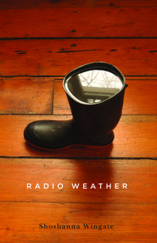 Paperback Radio Weather Book