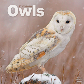 Calendar 2024 Owls Wall Calendar Book