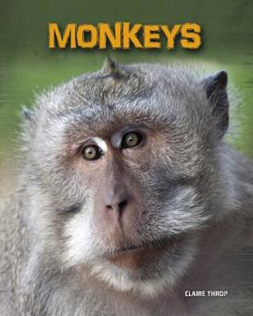 Paperback Monkeys Book