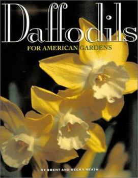 Hardcover Daffodils: For North American Gardens Book