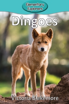 Paperback Dingoes Book