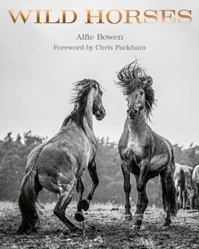 Hardcover Wild Horses Book