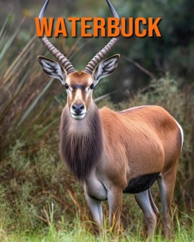 Paperback Waterbuck: Amazing Photos and Fun Facts Book for kids Book