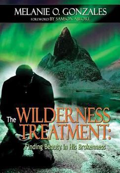 Hardcover The Wilderness Treatment: Finding Beauty in His Brokenness Book