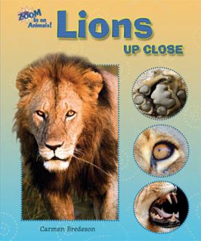 Paperback Lions Up Close Book
