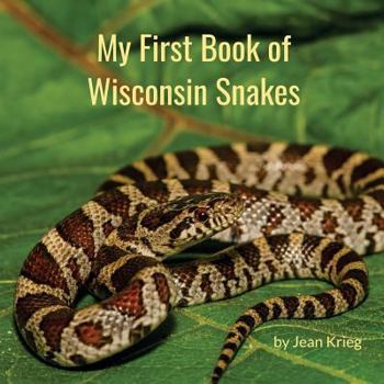 Paperback My First Book of Wisconsin Snakes Book
