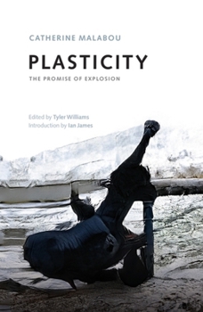 Hardcover Plasticity: The Promise of Explosion Book