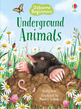 Under the Ground - Book  of the Usborne Beginners