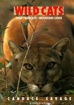 Paperback Wild Cats: Lynx Bobcats Mountain Lions Book