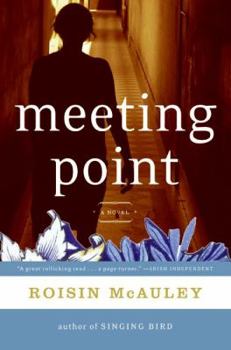 Paperback Meeting Point Book