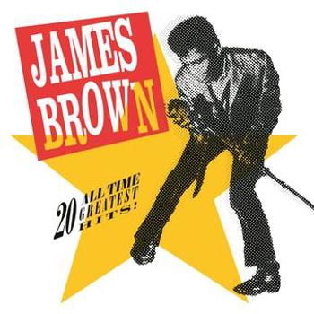 Vinyl 20 All-Time Greatest Hits! (2 LP) Book