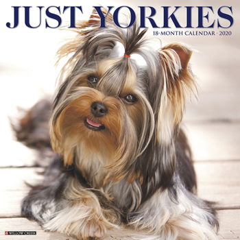 Calendar Just Yorkies 2020 Wall Calendar (Dog Breed Calendar) Book