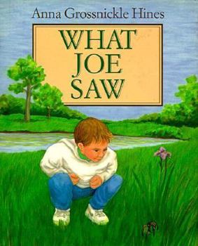 Hardcover What Joe Saw Book