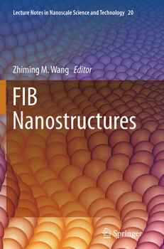 Paperback Fib Nanostructures Book