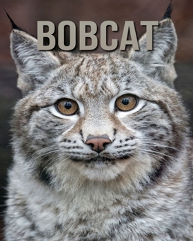 Paperback Bobcat: Amazing Photos Book About Bobcat For Kids Book