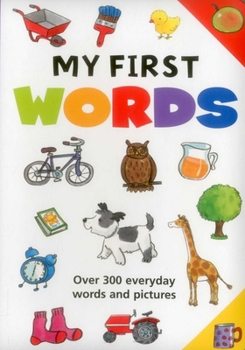 Board book My First Words: Over 300 Everyday Words and Pictures Book