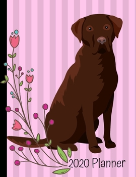 Paperback 2020 Planner: Chocolate Labrador Retriever Dog Pink 2020 Weekly Planner Organizer Dated Calendar And ToDo List Tracker Notebook Book