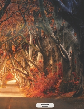 Photo-Stock Notizbuch: Mystische Wald Atmosphäre im Herbst  Notizbuch 150 Seiten kariert | A4 Format | mattes Softcover (German Edition)