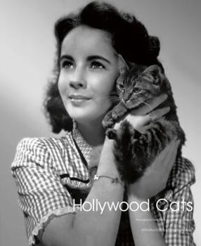 Hardcover Hollywood Cats: Photographs from the John Kobal Foundation Book