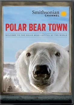 DVD Polar Bear Town: Season 1 Book