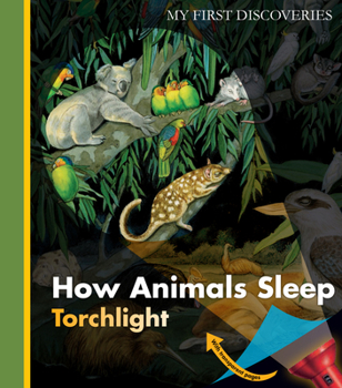Hardcover How Animals Sleep Book