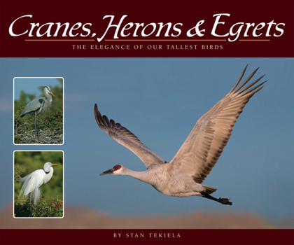 Paperback Cranes, Herons & Egrets: The Elegance of Our Tallest Birds Book