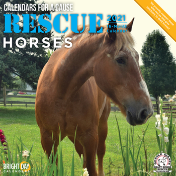 Calendar Cal 2021- Rescue Horses Wall Book